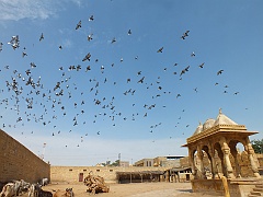 jaisalmer (15)